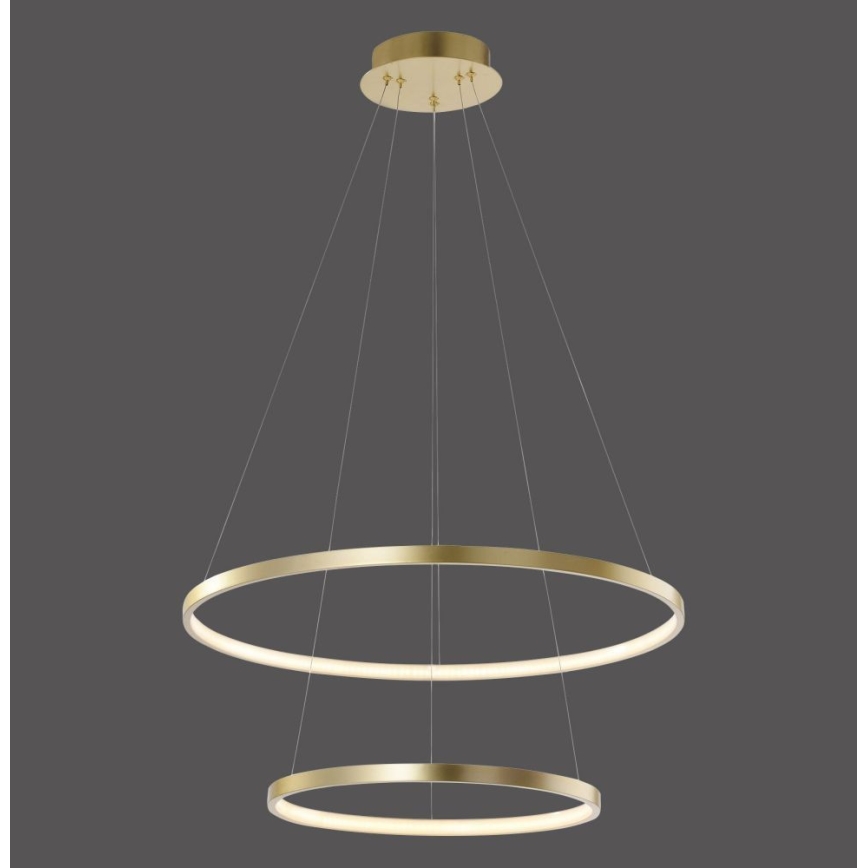 Leuchten Direkt 11525-12 -LED Полилей на верижка CIRCLE 1xLED/18,5W/230V + LED/23,5W