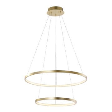 Leuchten Direkt 11525-12 -LED Полилей на верижка CIRCLE LED/18,5W/230V + LED/23,5W