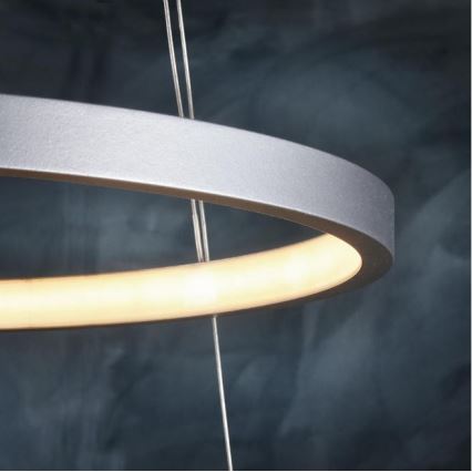 Leuchten Direkt 11525-21 - LED Полилей на въже CIRCLE 1xLED/15W/230V + LED/25W
