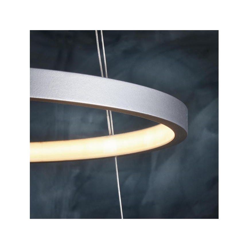 Leuchten Direkt 11525-21 - LED Полилей на въже CIRCLE 1xLED/15W/230V + LED/25W