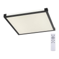 Leuchten Direkt 11621-18 - LED RGB регулируемо таванно осветително тяло MARIO LED/24W/230V 2700-5000K + дистанционно управление
