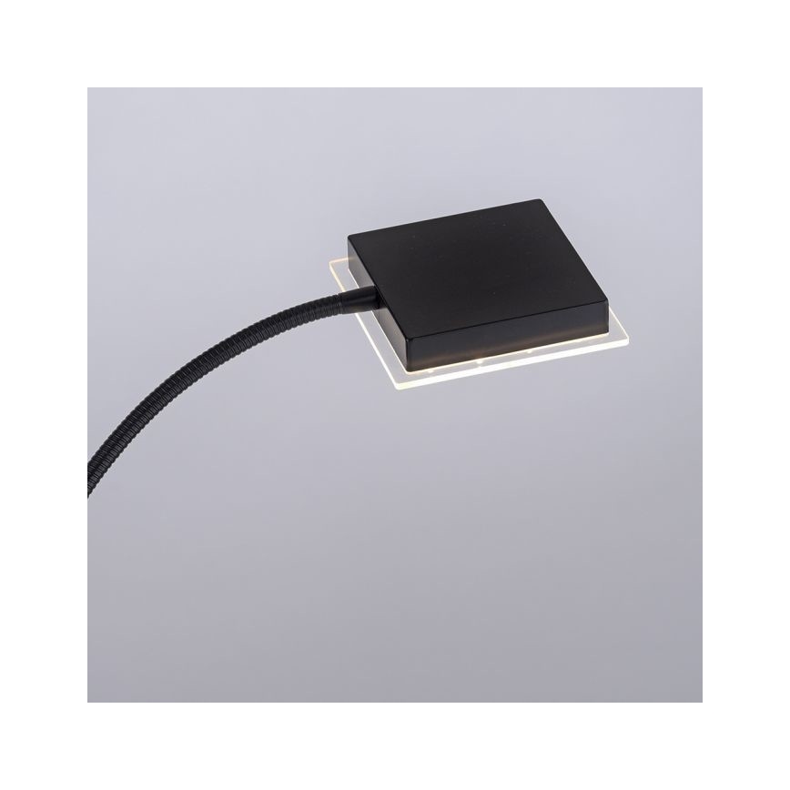 Leuchten Direkt 11710-18 - LED Димируем лампион HANS LED/21,5W/230V + LED/4W