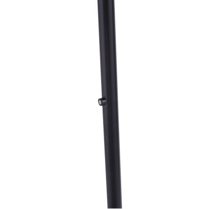 Leuchten Direkt 11729-18 - LED димируема подова лампа HANS LED / 22W / 230V