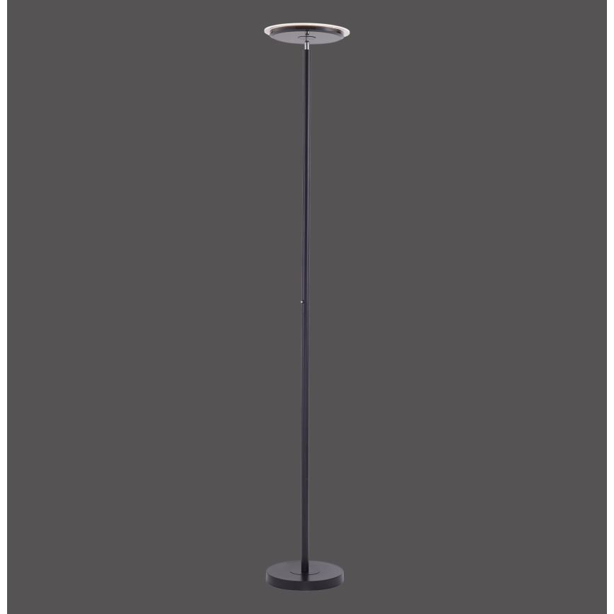 Leuchten Direkt 11729-18 - LED димируема подова лампа HANS LED / 22W / 230V