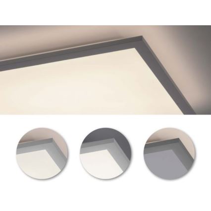 Leuchten Direkt 12204-16 - LED Повърхностен панел FLAT LED/24W/230V