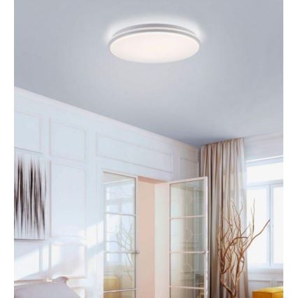 Leuchten Direkt 14208-16 - LED Димируема лампа COLIN LED/18W/230V