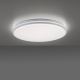 Leuchten Direkt 14209-16 - LED Димируема лампа COLIN LED/32,4W/230V