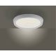 Leuchten Direkt 14217-16 - LED Димируема лампа LORENA 1xLED/35W/230V сива + дистанционно