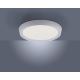 Leuchten Direkt 14217-16 - LED Димируема лампа LORENA 1xLED/35W/230V сива + дистанционно