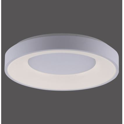 Leuchten Direkt 14326-16 - LED осветително тяло ANIKA LED / 30W / 230V + ДУ