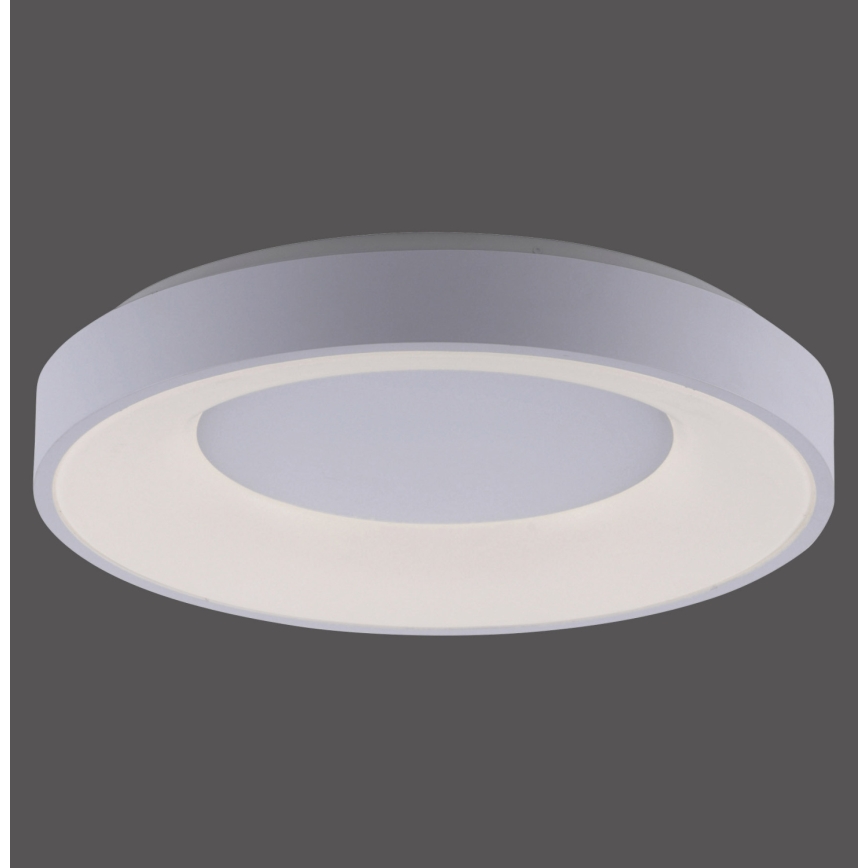 Leuchten Direkt 14326-16 - LED осветително тяло ANIKA LED / 30W / 230V + ДУ