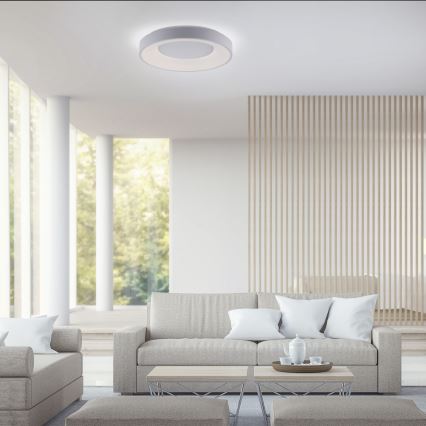 Leuchten Direkt 14326-16 - LED осветително тяло ANIKA LED / 30W / 230V + ДУ
