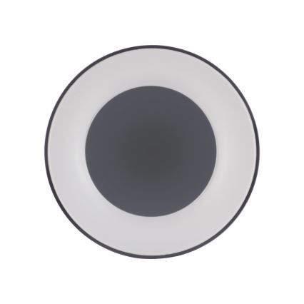 Leuchten Direkt 14326-18 - LED осветително тяло ANIKA LED / 30W / 230V + ДУ
