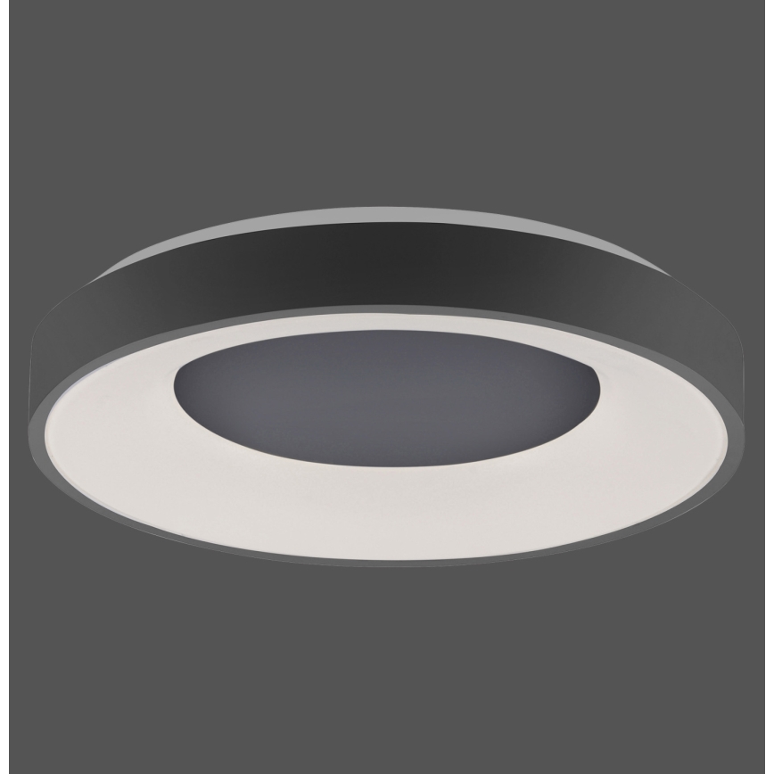 Leuchten Direkt 14326-18 - LED осветително тяло ANIKA LED / 30W / 230V + ДУ