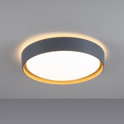 Leuchten Direkt 14347-15 - LED Димируем плафон EMILIA LED/28,8W/230V сива