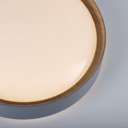 Leuchten Direkt 14347-15 - LED Димируем плафон EMILIA LED/28,8W/230V сива