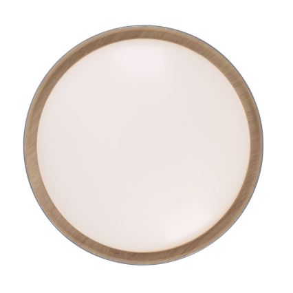 Leuchten Direkt 14347-15 - LED Димируем плафон EMILIA LED/28,8W/230V сива