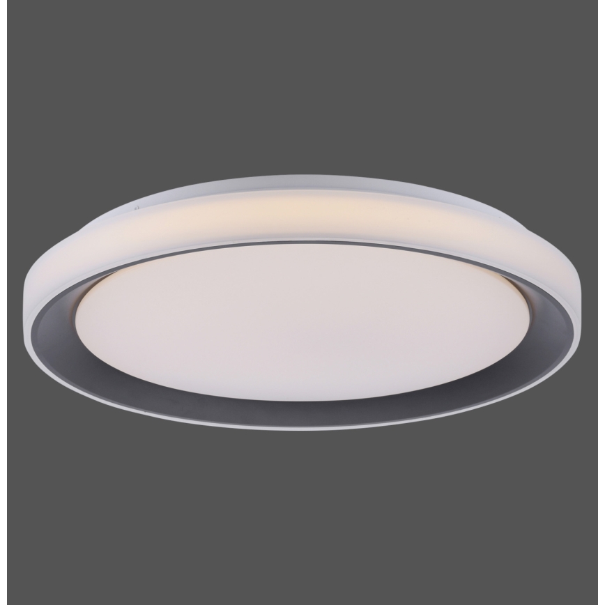 Leuchten Direkt 14659-18 - LED RGB Димируема лампа LOLA LED/24W/230V Tuya + дистанционно