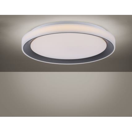 Leuchten Direkt 14659-18 - LED RGB Димируема лампа LOLA LED/24W/230V Tuya + дистанционно