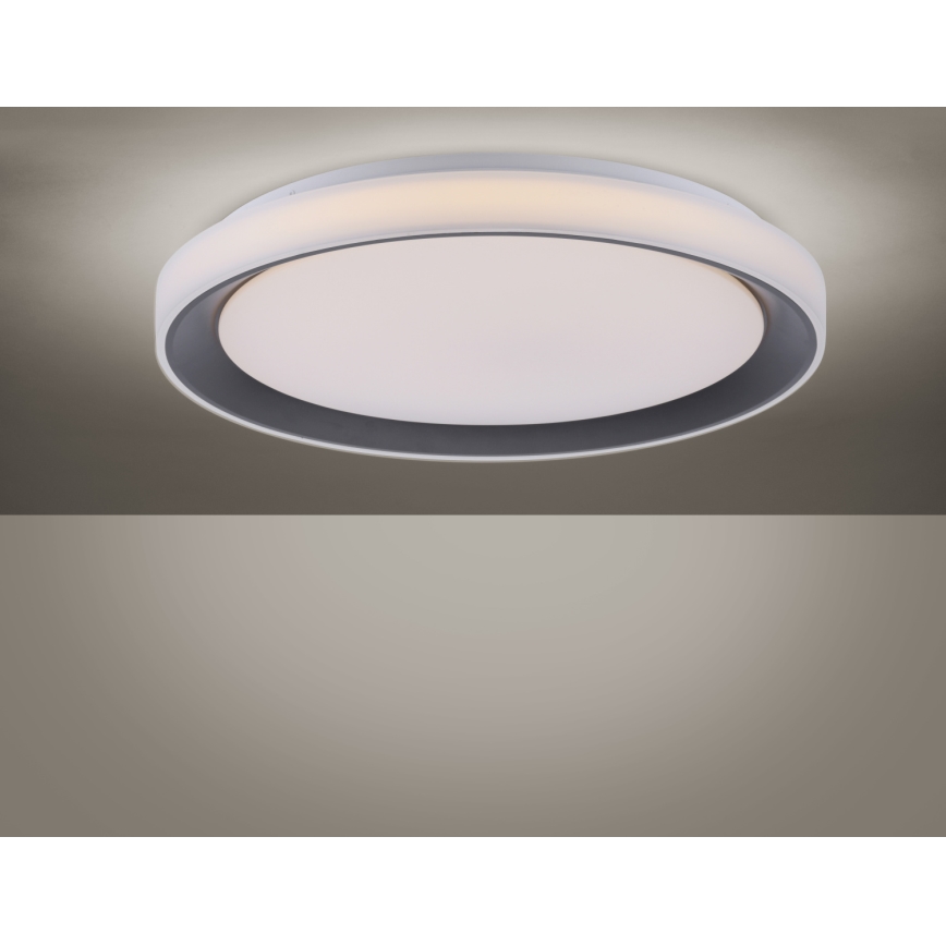 Leuchten Direkt 14659-18 - LED RGB Димируема лампа LOLA LED/24W/230V Tuya + дистанционно