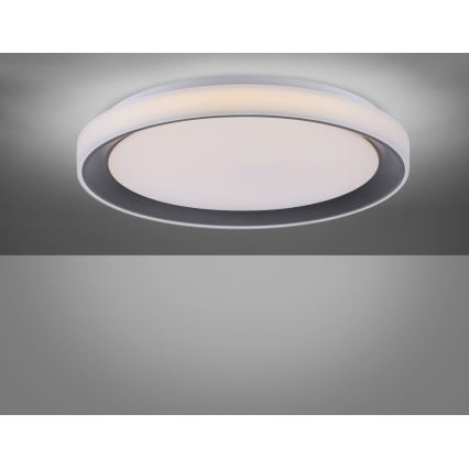 Leuchten Direkt 14659-18 - LED RGB Димируема лампа LOLA LED/24W/230V Tuya + дистанционно
