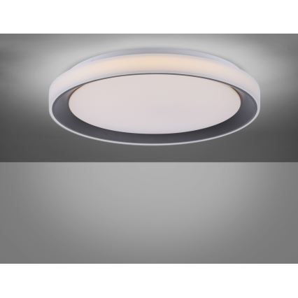 Leuchten Direkt 14659-18 - LED RGB Димируема лампа LOLA LED/24W/230V Tuya + дистанционно