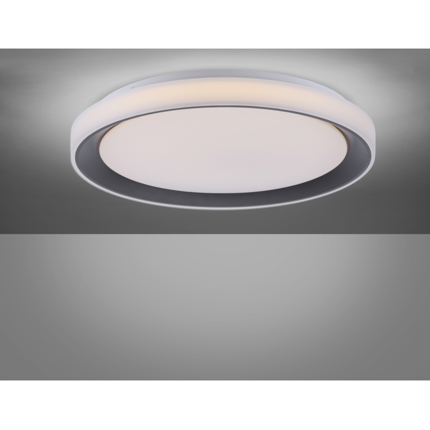 Leuchten Direkt 14659-18 - LED RGB Димируема лампа LOLA LED/24W/230V Tuya + дистанционно