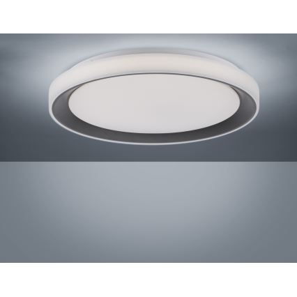 Leuchten Direkt 14659-18 - LED RGB Димируема лампа LOLA LED/24W/230V Tuya + дистанционно