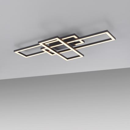 Leuchten Direkt 14697-18 - LED Димируем плафон IVEN LED/24W/230V