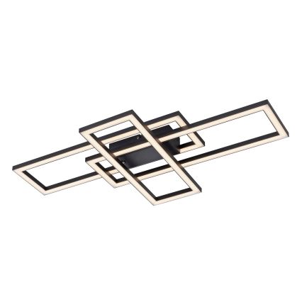 Leuchten Direkt 14697-18 - LED Димируем плафон IVEN LED/24W/230V