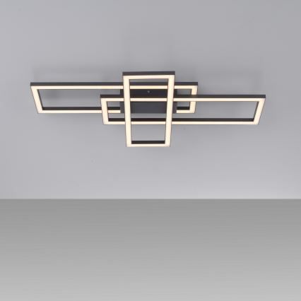 Leuchten Direkt 14697-18 - LED регулируемо таванно осветително тяло IVEN LED/24W/230V