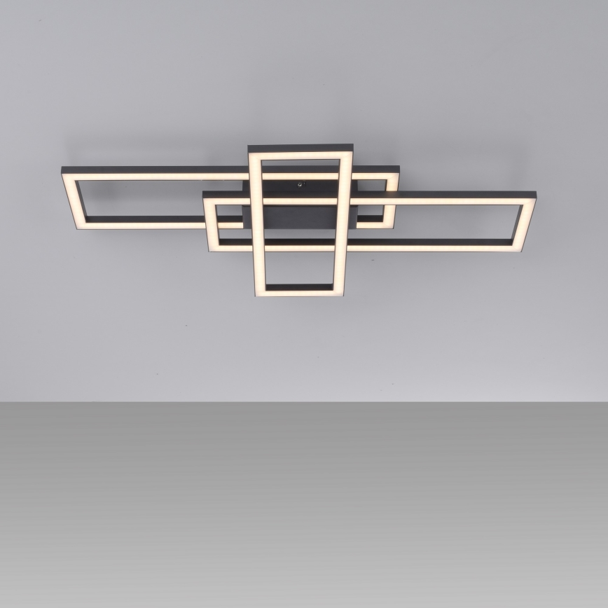 Leuchten Direkt 14697-18 - LED регулируемо таванно осветително тяло IVEN LED/24W/230V