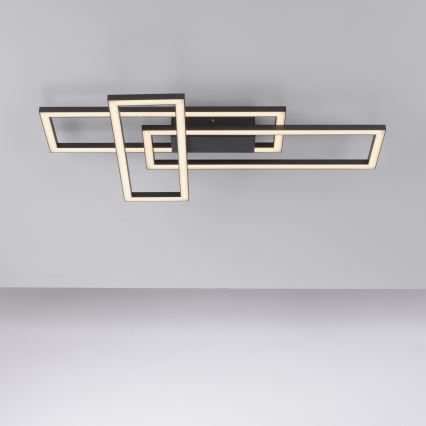 Leuchten Direkt 14697-18 - LED регулируемо таванно осветително тяло IVEN LED/24W/230V
