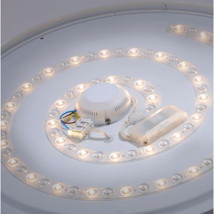 Leuchten Direkt 14822-17 - LED Лампа за баня със сензор LAVINIA LED/40W/230V IP44