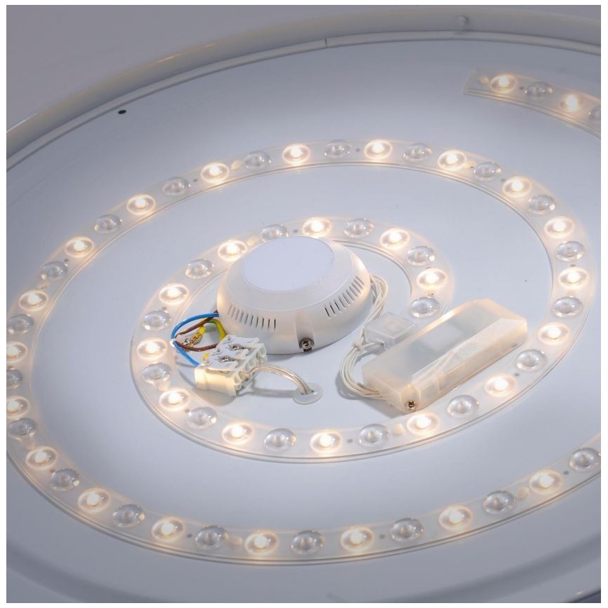 Leuchten Direkt 14822-17 - LED Лампа за баня със сензор LAVINIA LED/40W/230V IP44