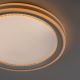Leuchten Direkt 15154-16 - LED RGB Димируема лампа EDGING LED/39W/230V + дистанционно