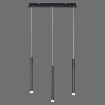 Leuchten Direkt 15203-18 - LED Висящ полилей 3xLED/4,8W/230V черен