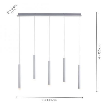 Leuchten Direkt 15205-95 - LED Висящ полилей BRUNO 5xLED/4,8W/230V