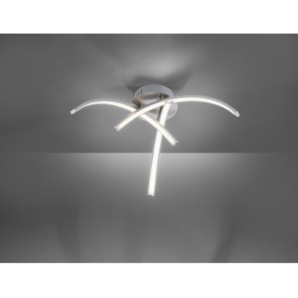 Leuchten Direkt 15341-55 - LED Полилей за повърхностен монтаж VALERIE 3xLED/3,7W/230V