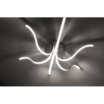 Leuchten Direkt 15342-17 - LED Полилей за повърхностен монтаж VALERIE 6xLED/4,5W/230V