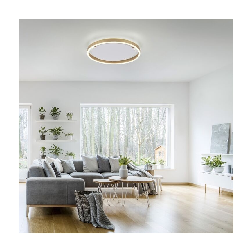 Leuchten Direkt 15392-60 - LED Димируем плафон RITUS LED/28W/230V месинг