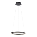 Leuchten Direkt 15393-13 - LED димируем полилей на кабел RITUS LED/23,5W/230V черен