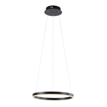 Leuchten Direkt 15393-13 - LED димируем полилей на кабел RITUS LED/23,5W/230V черен