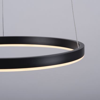 Leuchten Direkt 15393-13 - LED димируем полилей на кабел RITUS LED/23,5W/230V черен