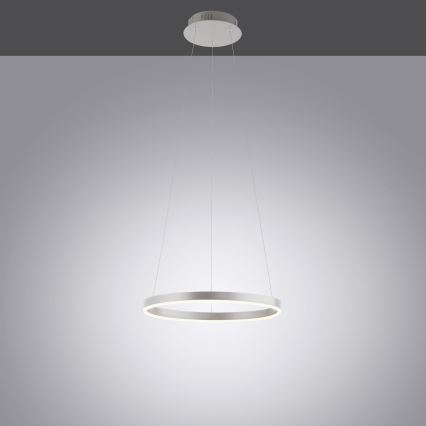 Leuchten Direkt 15393-95 - LED Димируем пендел RITUS LED/20W/230V матов хром