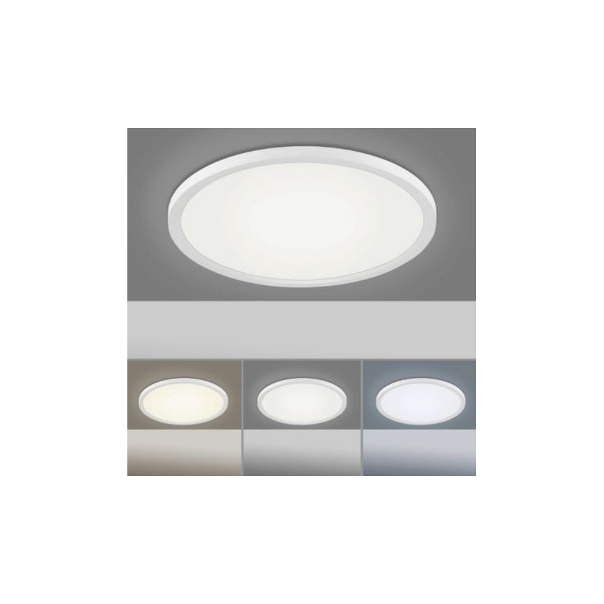 Leuchten Direkt 15571-16 - LED Димируема лампа FLAT LED/23,5W/230V 2700-5000K + дистанционно