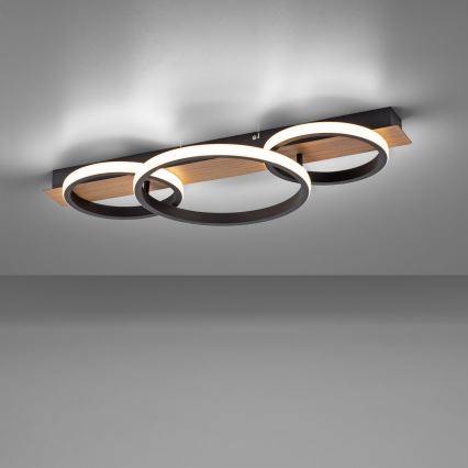 Leuchten Direkt 15616-78 - LED Лампа TROOPER LED/37W/230V