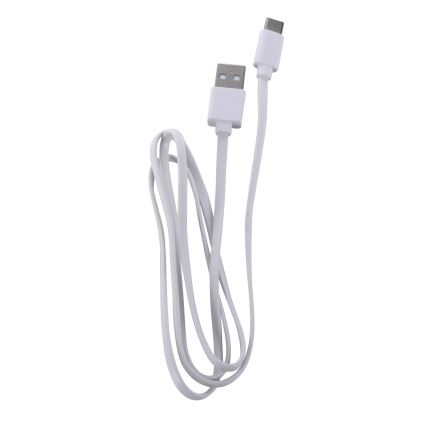 Leuchten Direkt 19250-16 - LED Екстериорна димируема акумулаторна настолна лампа EURIA LED/3W/5V 2600 mAh IP54 бял