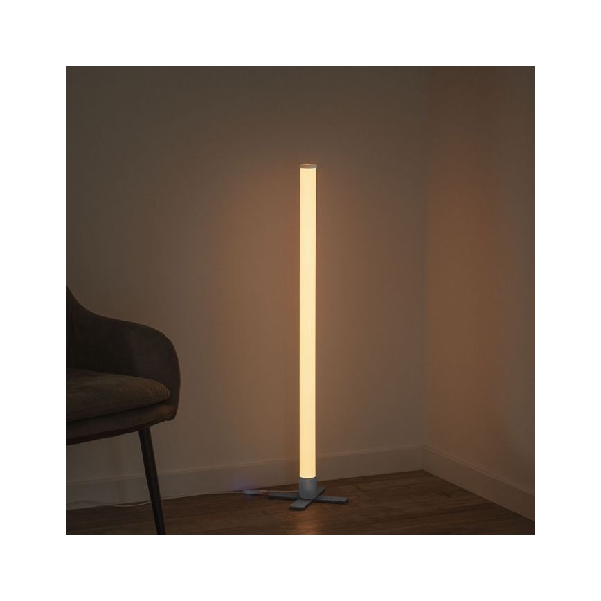 Leuchten Direkt 19902-21 - LED RGB Димируема лампа RINGO LED/10W/230V+д.у.