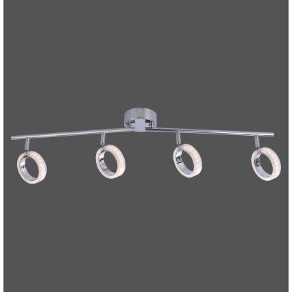 Leuchten Direkt L10504-17 - LED Спот ANGELO 4xLED/3,5W/230V